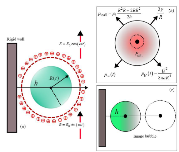 電磁場の気泡力学(Mathematics)